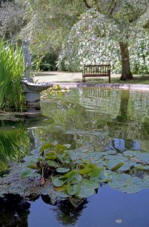 Pond