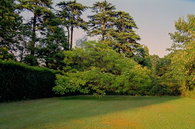Park-30